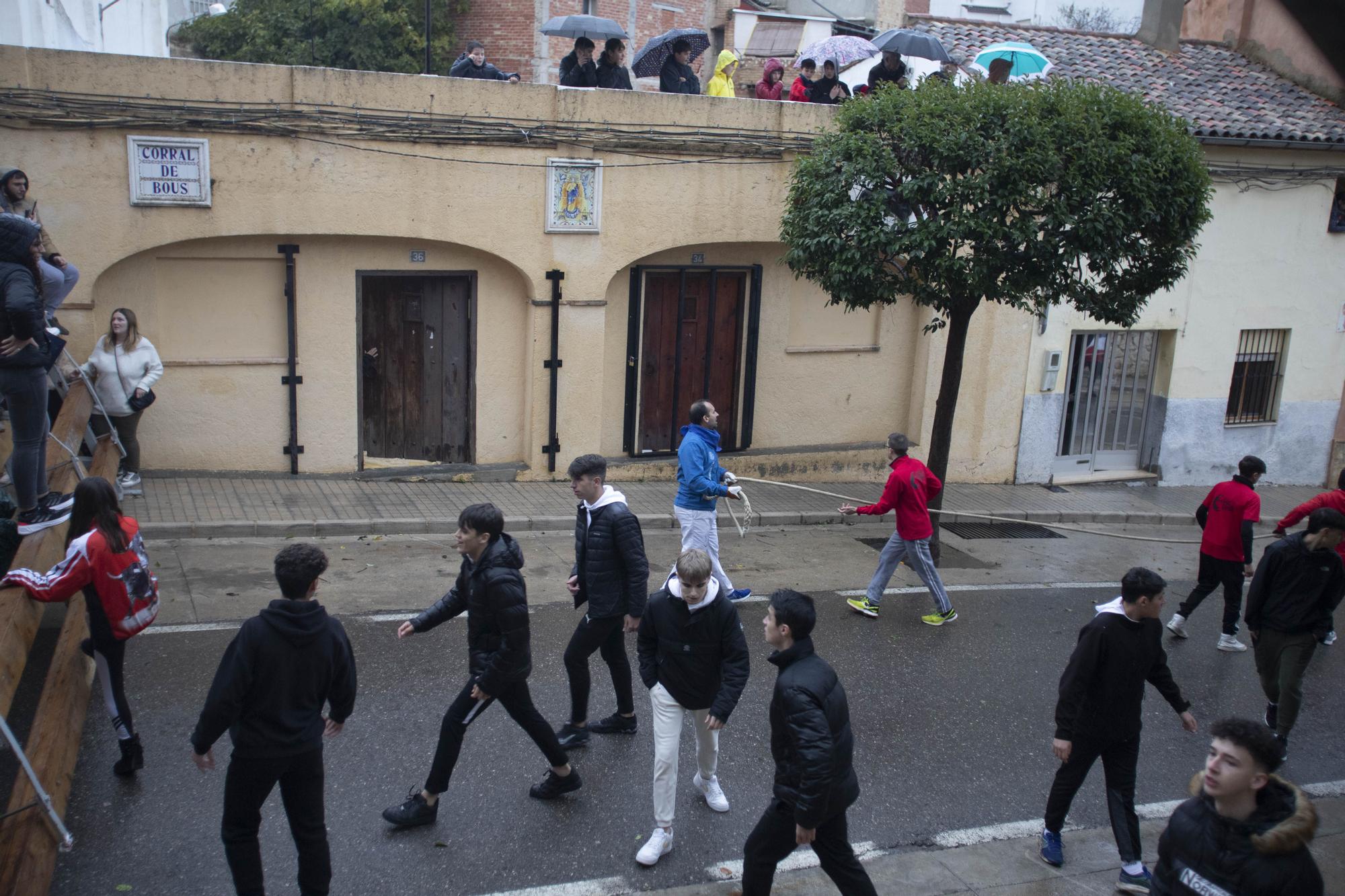 El "Bou en corda" vuelve al Pont Vell de Ontinyent