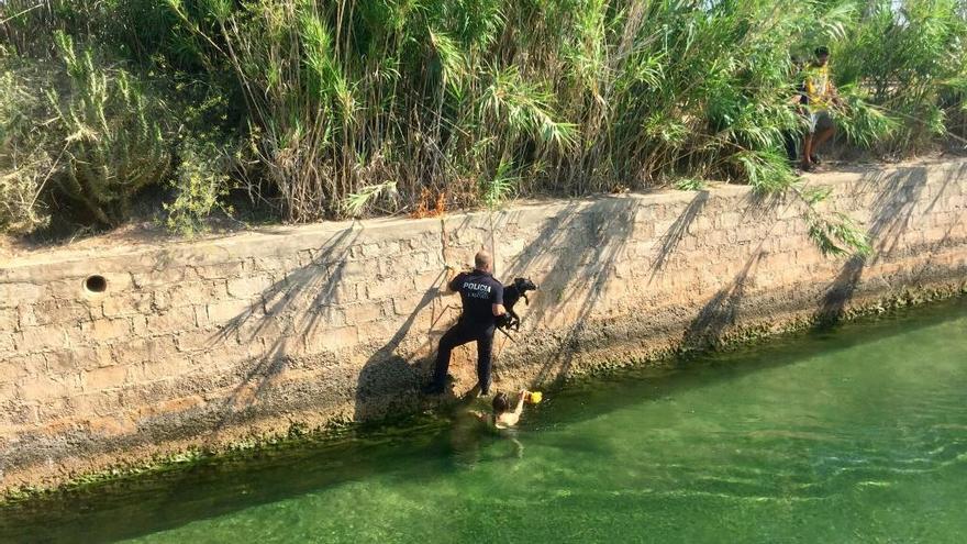 Momento en que un agente saca de la Acequia Real del Júcar al perro, con su dueña en el agua.