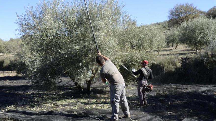 Récord exportador de las empresas cordobesas en solo 11 meses