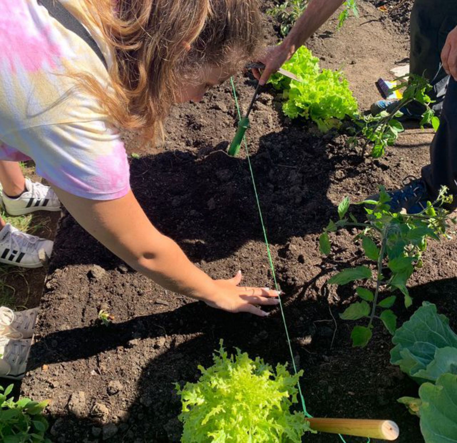 Una de las participantes siembra una lechuga. | Marta Agulló