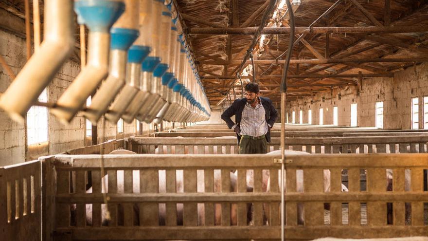 Serie Matadero, ambientada en Torrecillas