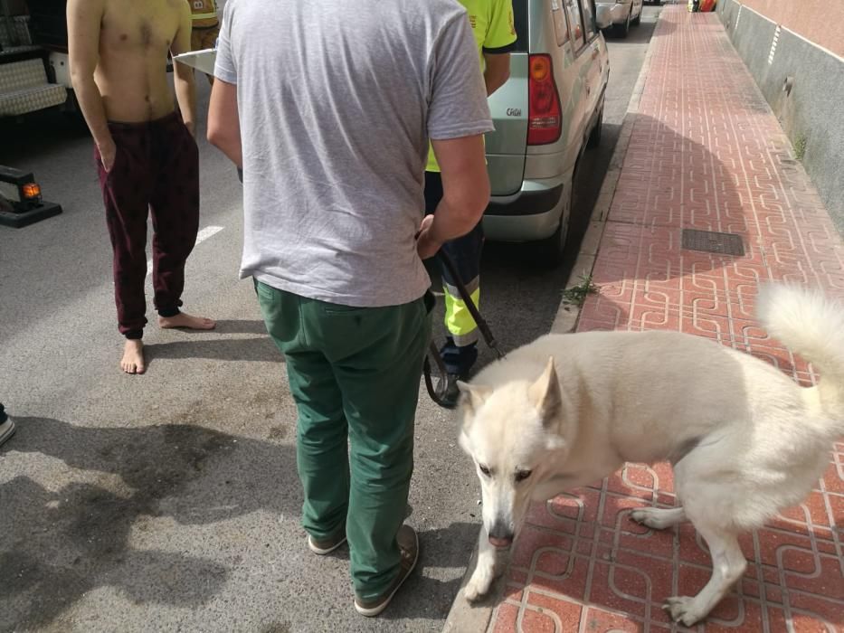 Bomberos, Guardia Civil y Policía Local de Torrevieja han intervenido en la extinción de un incendio y rescate de una persona en un piso de la calle Goleta