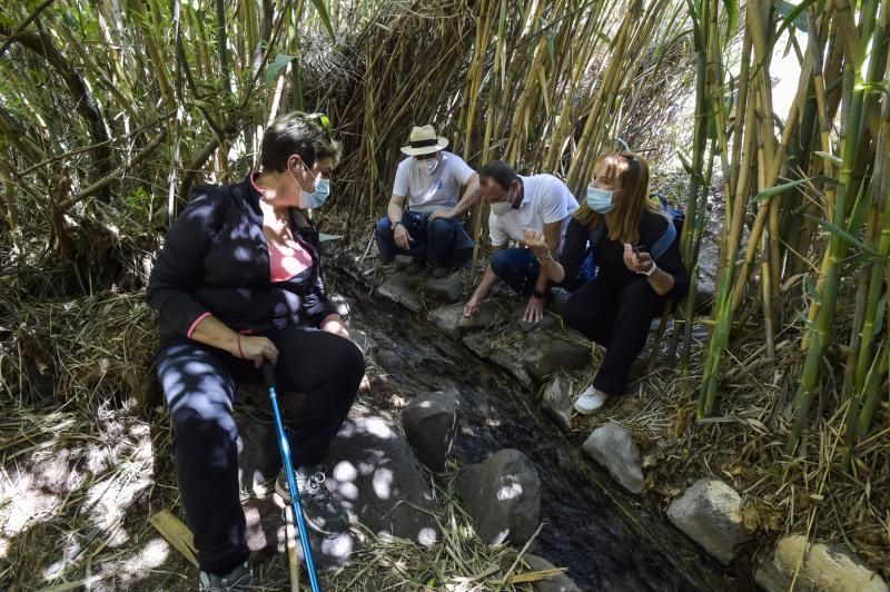 Inauguración del camino de las bestias en Ingenio