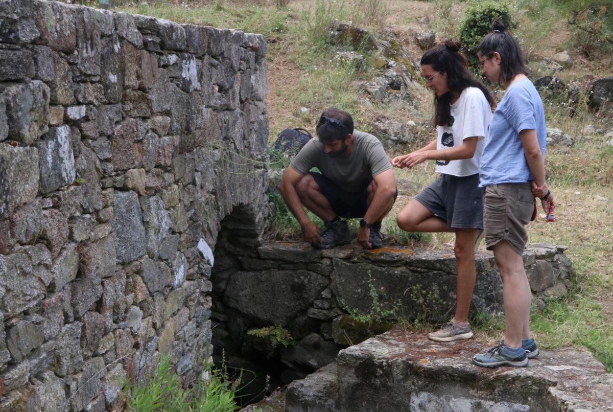 Tècnics de la Societat Catalana d'Herpetologia a l'abeurador del Mas Margall, a El Port de la Selva, on hi ha amfibis.