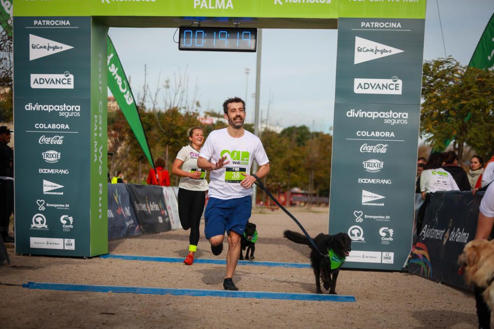 Can We Run Mallorca: So war das Hunderennen