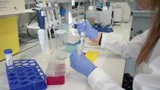 La USAL participa en el nuevo proyecto nacional de investigación sobre el cáncer de hígado infantil