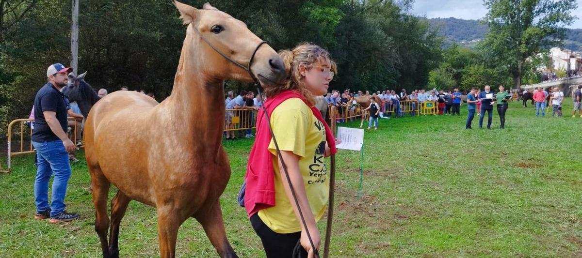 Una joven con un caballo durante el certamen ganadero celebrado en el marco de la Femex. | D. O.