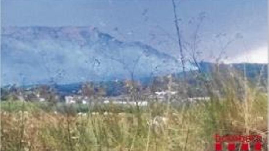 Incendi de vegetació forestal a la zona de les Dunes de Torroella.