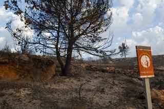 El fuego de Bejís es ya el peor en 30 años en Castellón