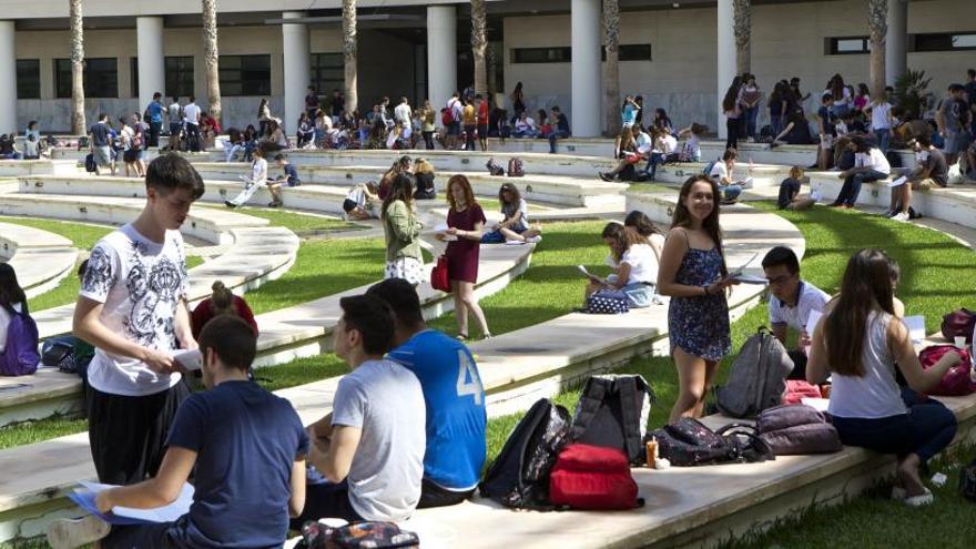 Las universidades de Alicante y de Elche, por encima de la media nacional