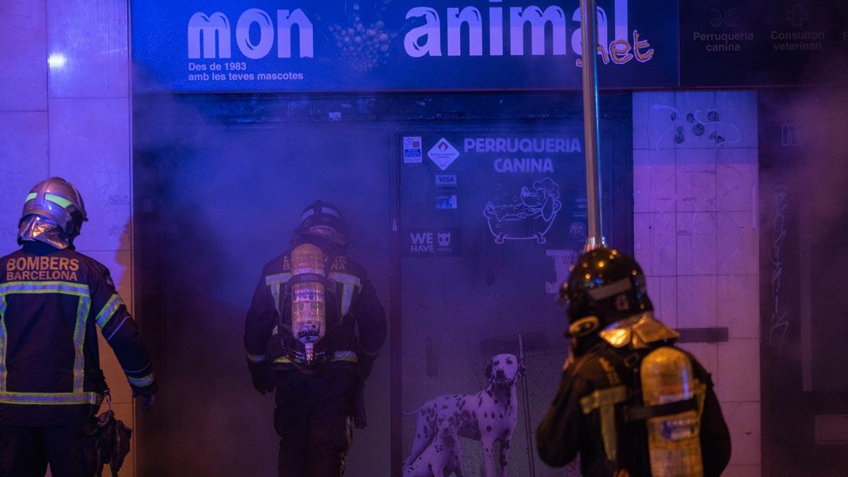 Mueren más de un centenar de mascotas en un incendio en una tienda de animales de Barcelona