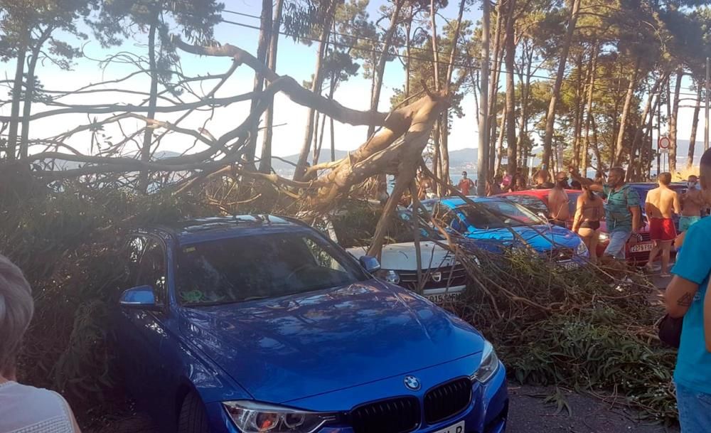 La rama caída en Samil sobre los vehículos aparcados