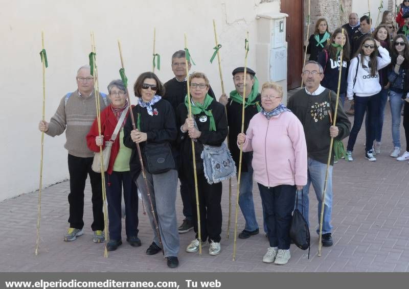 GALERÍA DE FOTOS -  Romería Magdalena 2014 (1)