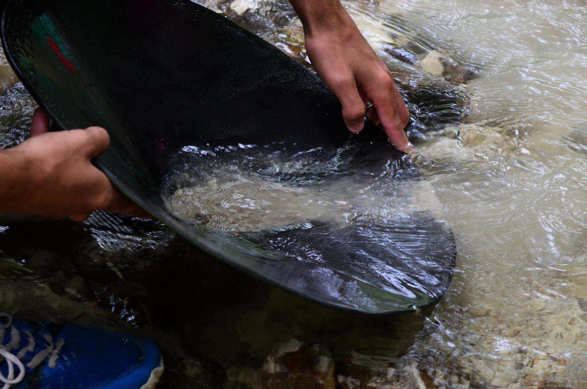 Fotografía del oro en Navelgas.