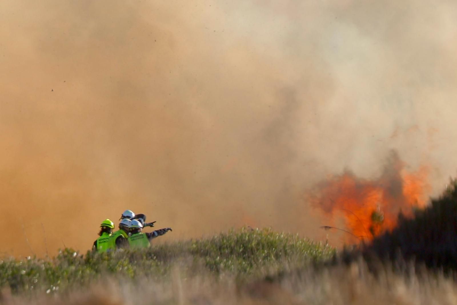 Declarado un incendio en el Saler