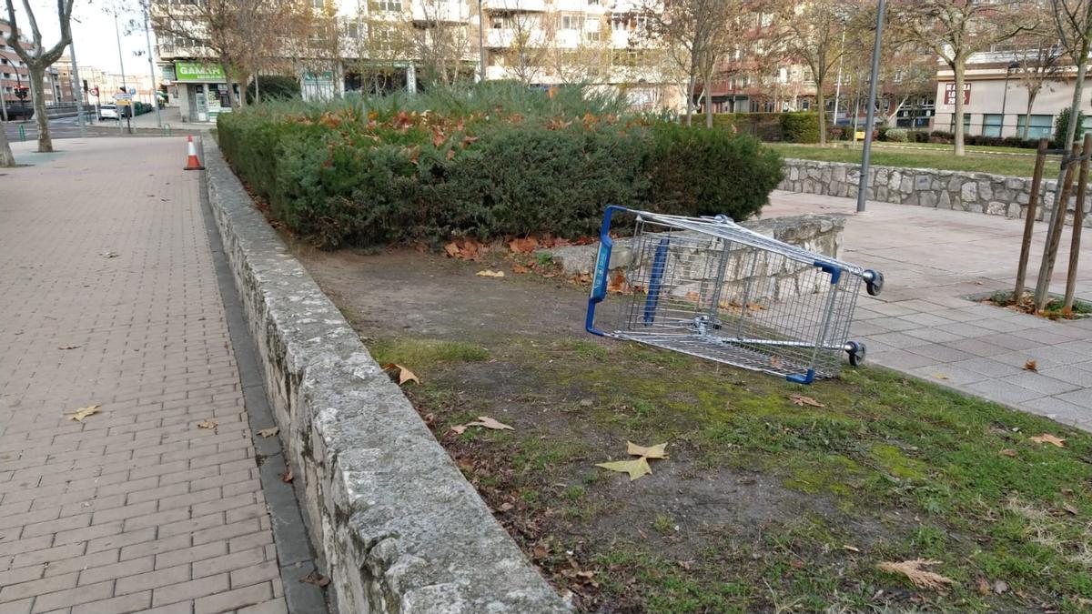 Carrito de supermercado tirado en el parque de Las Viñas en Zamora.