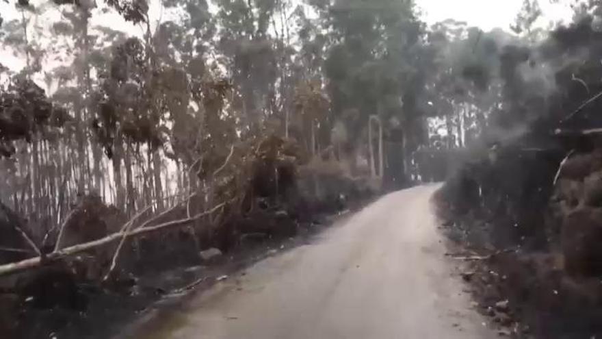 Óscar Pereiro cuelga un desolador vídeo de las zonas afectadas por los incendios de Galicia