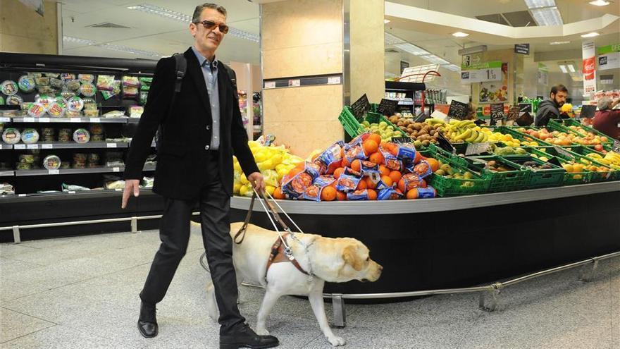 Coronavirus en Córdoba: los perros guía permiten a 15 personas ciegas seguir siendo autónomas