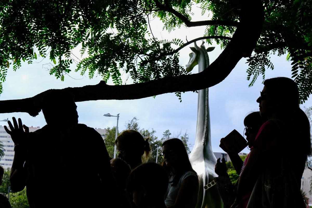Actividad familiar en busca de los animales escondidos en Las Palmas de Gran Canaria
