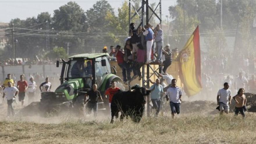 Así es el final para el Toro de la Vega