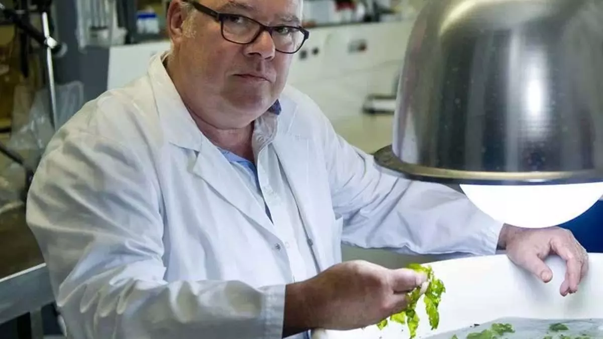 Javier Cremades: "El futuro de la alimentación pasa por consumir especies de bajo nivel trófico"