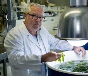 Javier Cremades, en Centro Interdisciplinar de Química y Biología (CICA) en la Universidade da Coruña