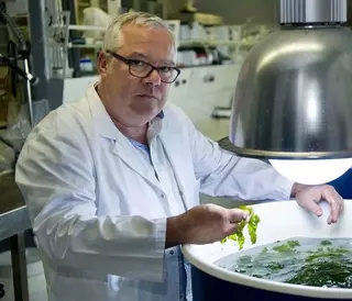 Javier Cremades: "El futuro de la alimentación pasa por consumir especies de bajo nivel trófico"