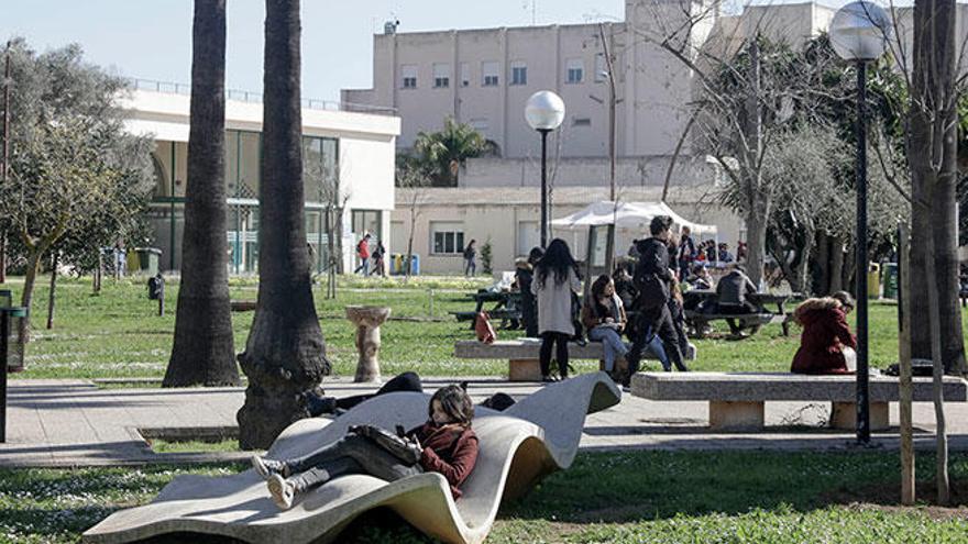 La Sindicatura apunta que la UIB tiene demasiados profesores asociados e incumple la ley