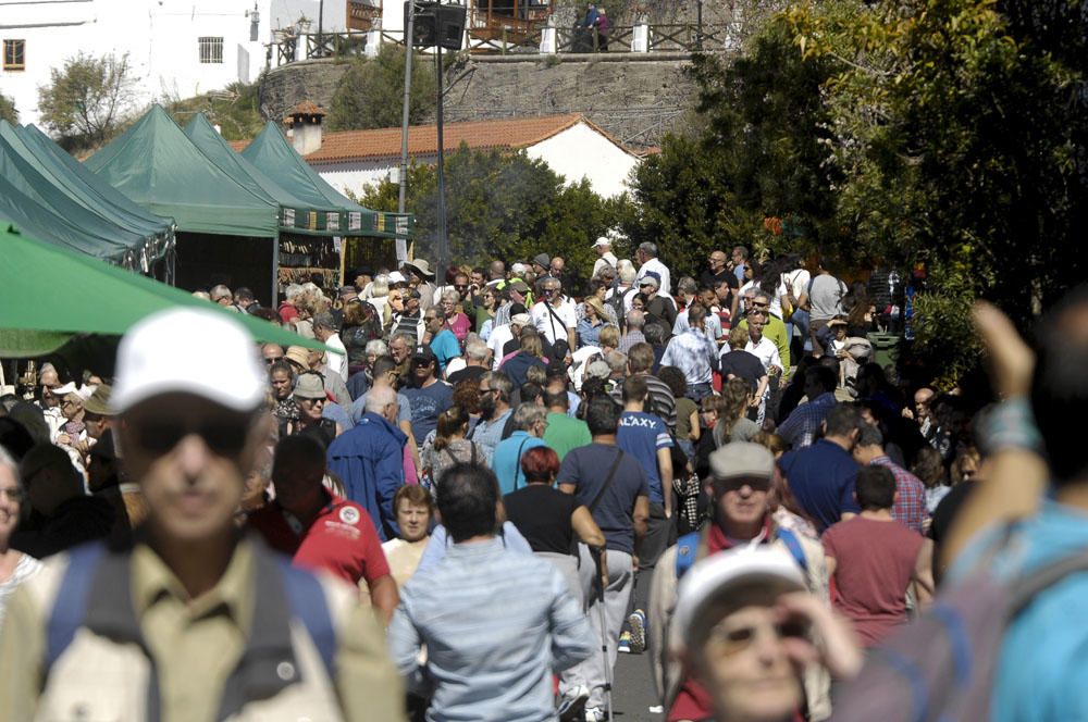 Fiestas del Almendro en Flor en Tejeda