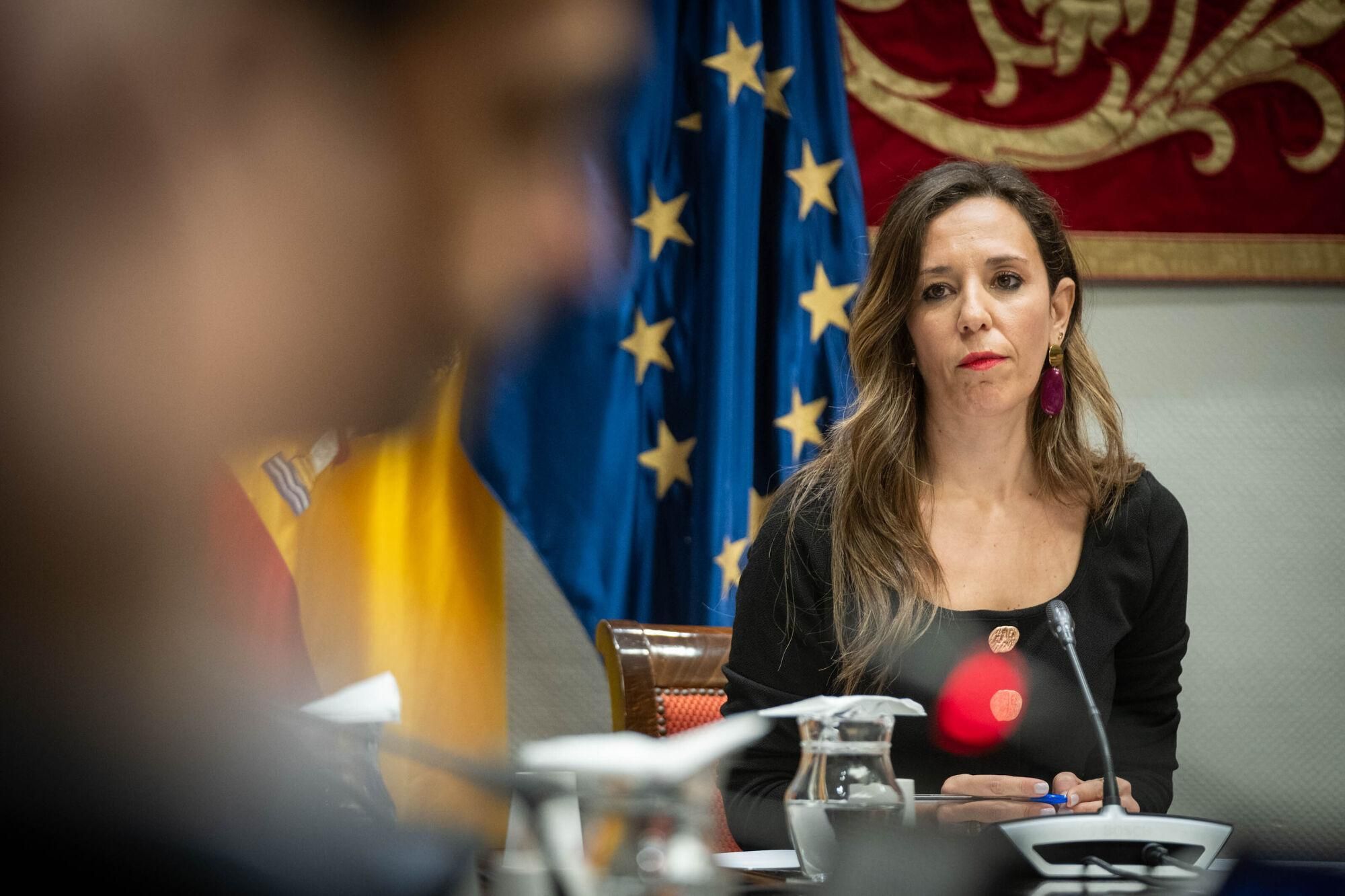 Los cabildos debaten la ley de de Ordenación Sostenible del Uso Turístico de Viviendas