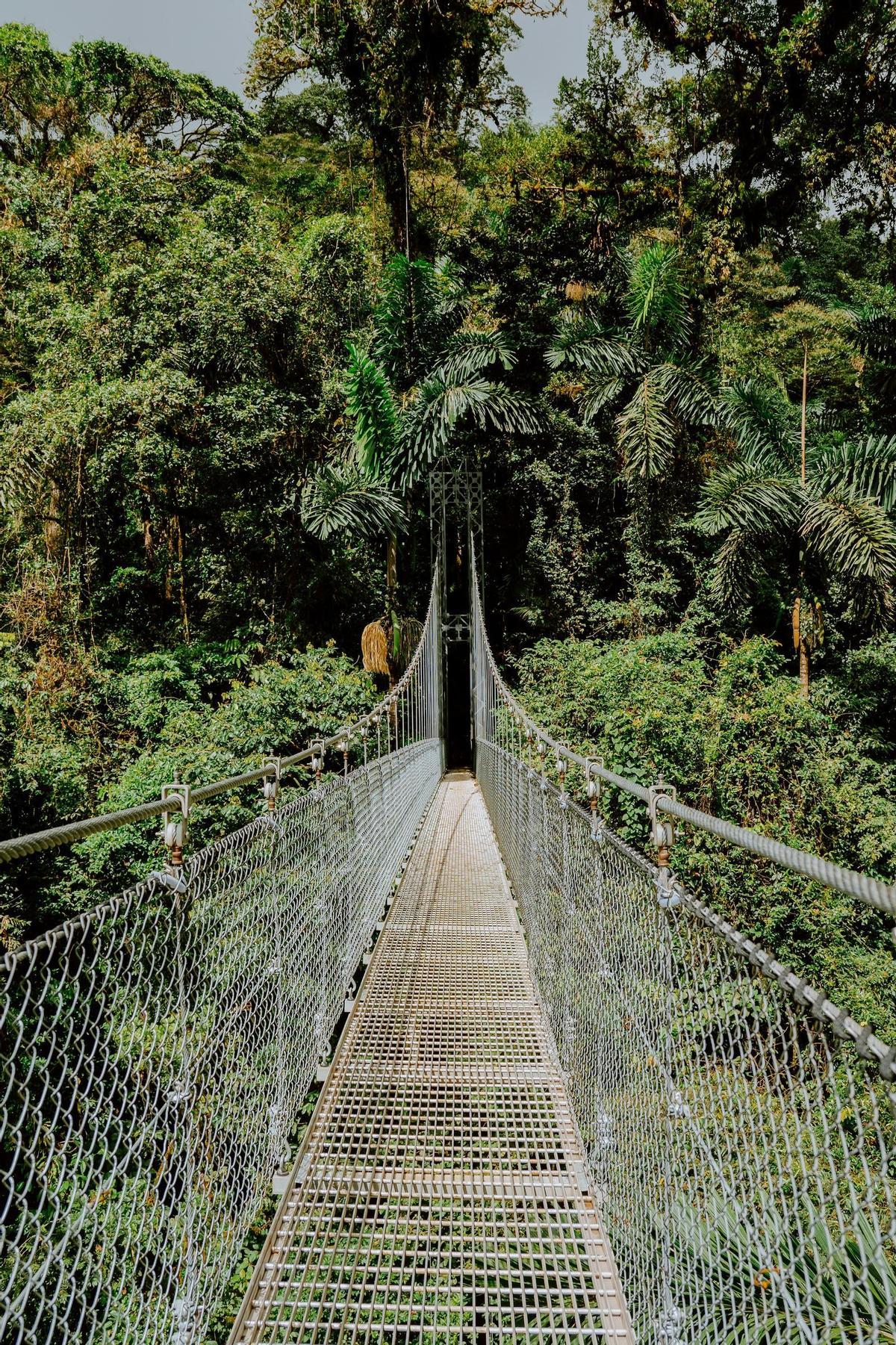 Las pasarelas en altura de Costa Rica se despliegan en La Fortuna