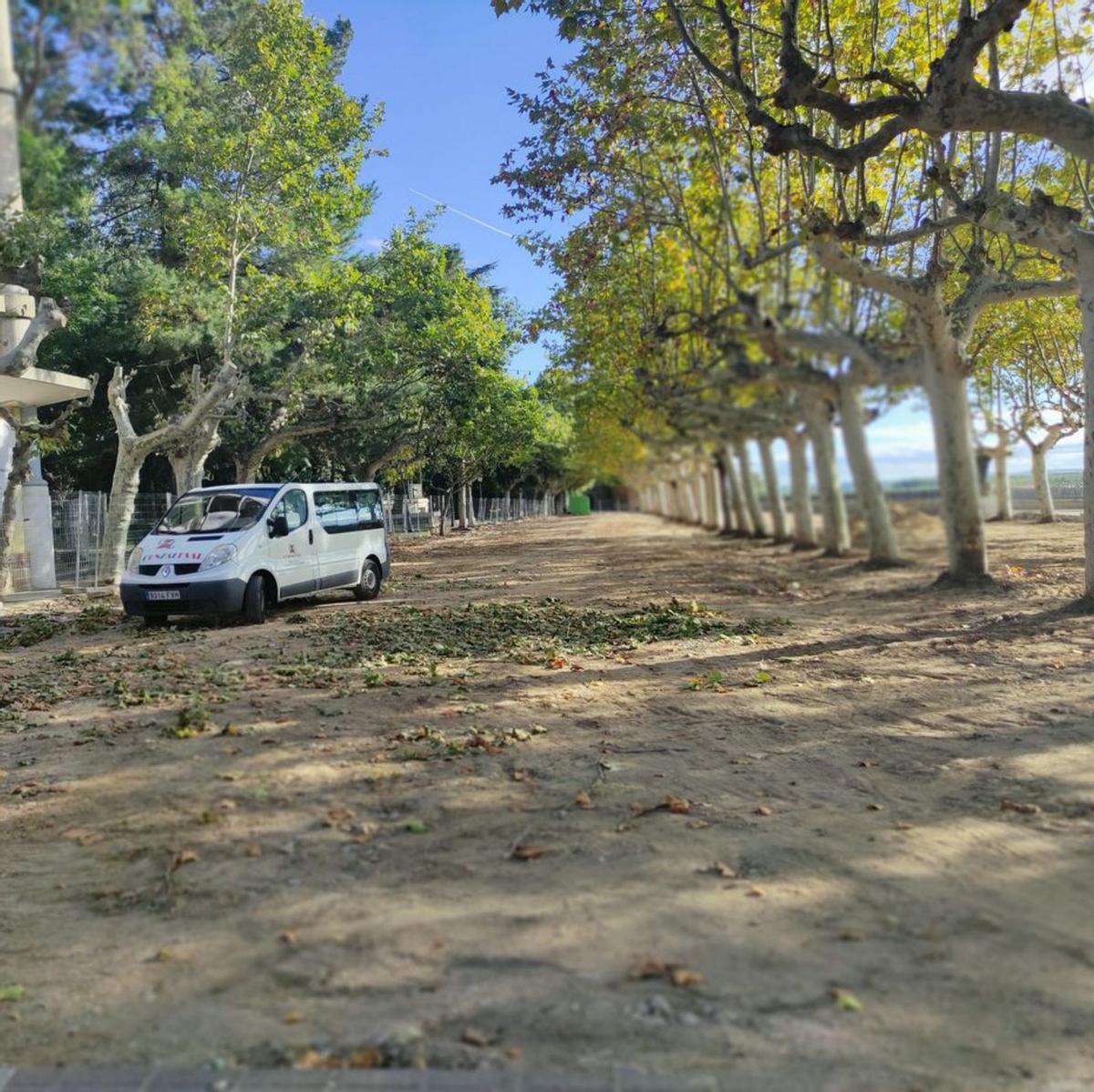 Paseos de la Mota en obras. | E. P.