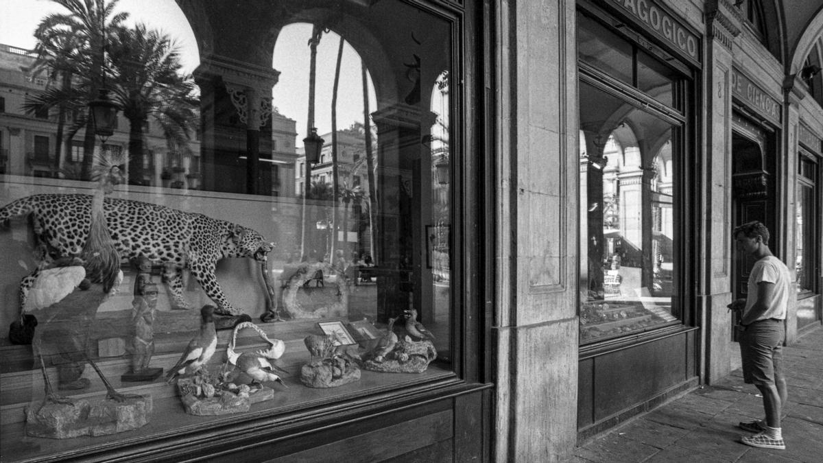 Barcelona 1987- El Taxidermista de la Plaça Reial Foto: PEPE ENCINAS