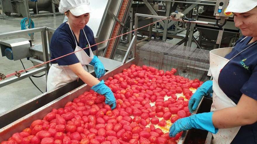 Más de 270 jóvenes agricultores de Extremadura contarán con ayudas para crear empresas agrarias