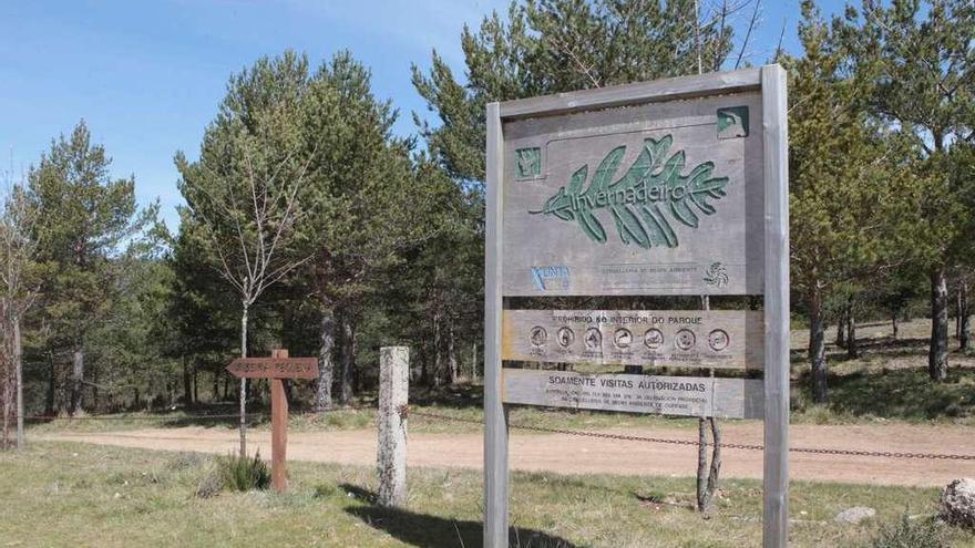 Parque natural del Invernadero, en el municipio ourensano de Vilariño de Conso. // Jesús Regal