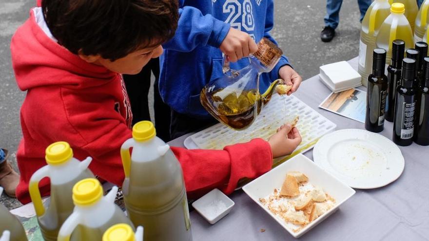 La DOP Oli Empordà reuneix experts en una jornada als Caputxins de Figueres