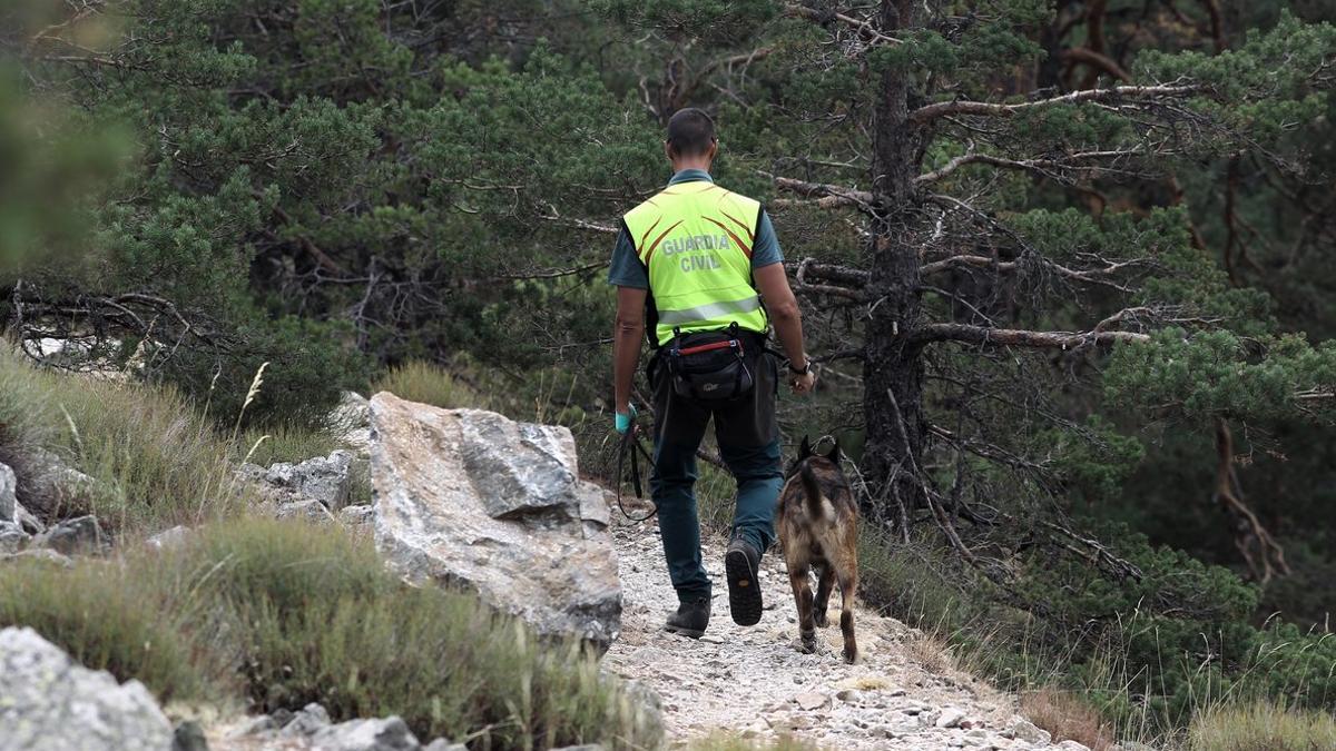 Un Guardia Civil con un perro de la unidad en La Peñota.