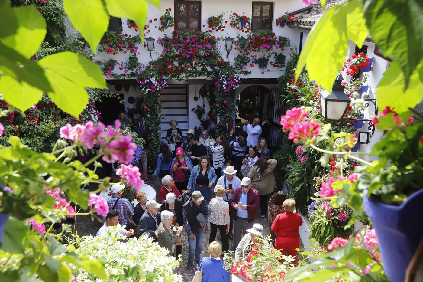 Patios de Córdoba: San Basilio 44