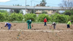 Los agricultores no son los únicos perjudicados por el recorte del trasvase.