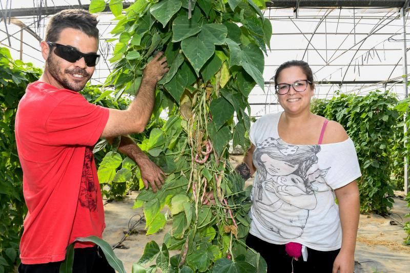 Dos jóvenes agricultores que cultivan, procesan y