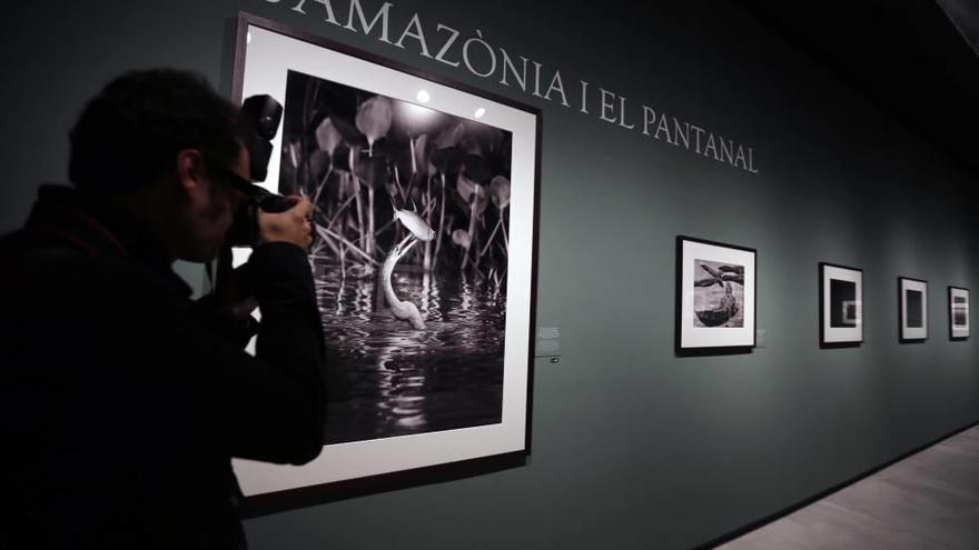 Imagen de la exposición ´Génesis´ en CaixaForum.