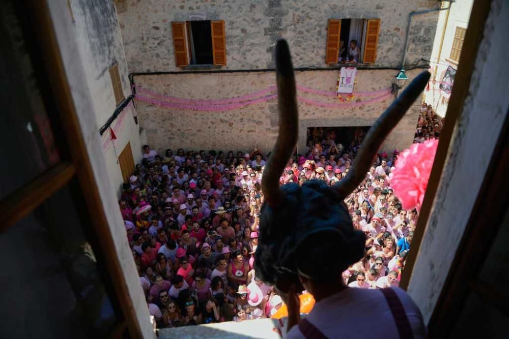 Vor rund 15 Jahren kam man in Sineu im Inselinnern von Mallorca auf die Idee, sich eine eigene Identifikationsfigur zu basteln. In Anlehnung an eine alte Dorflegende erfanden die Bewohner eine Fabelgestalt, halb Stier, halb Teufel, mit einer rosa Blume geschmückt: Der Muc, wahlweise Much geschrieben, ward geboren. Unter diesem Namen wurde er erstmals 2003 gefeiert. Seither strömen Jahr für Jahr, stets am 14. August, immer mehr rosa bekleidete Anhänger nach Sineu. Dieses Jahr waren es wieder ein paar mehr.