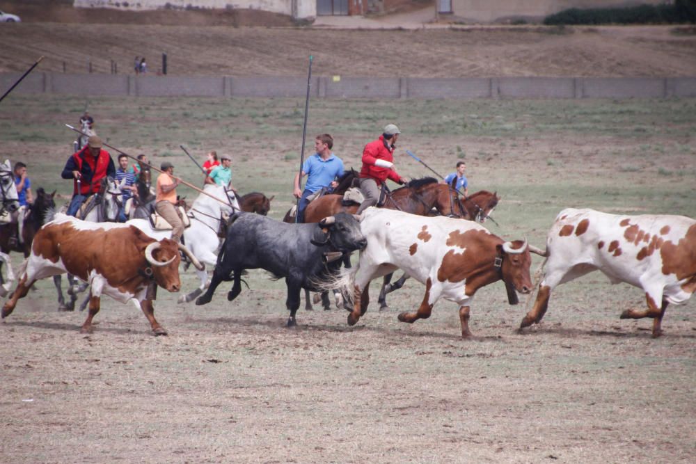 Espante infantil de Fuentesaúco