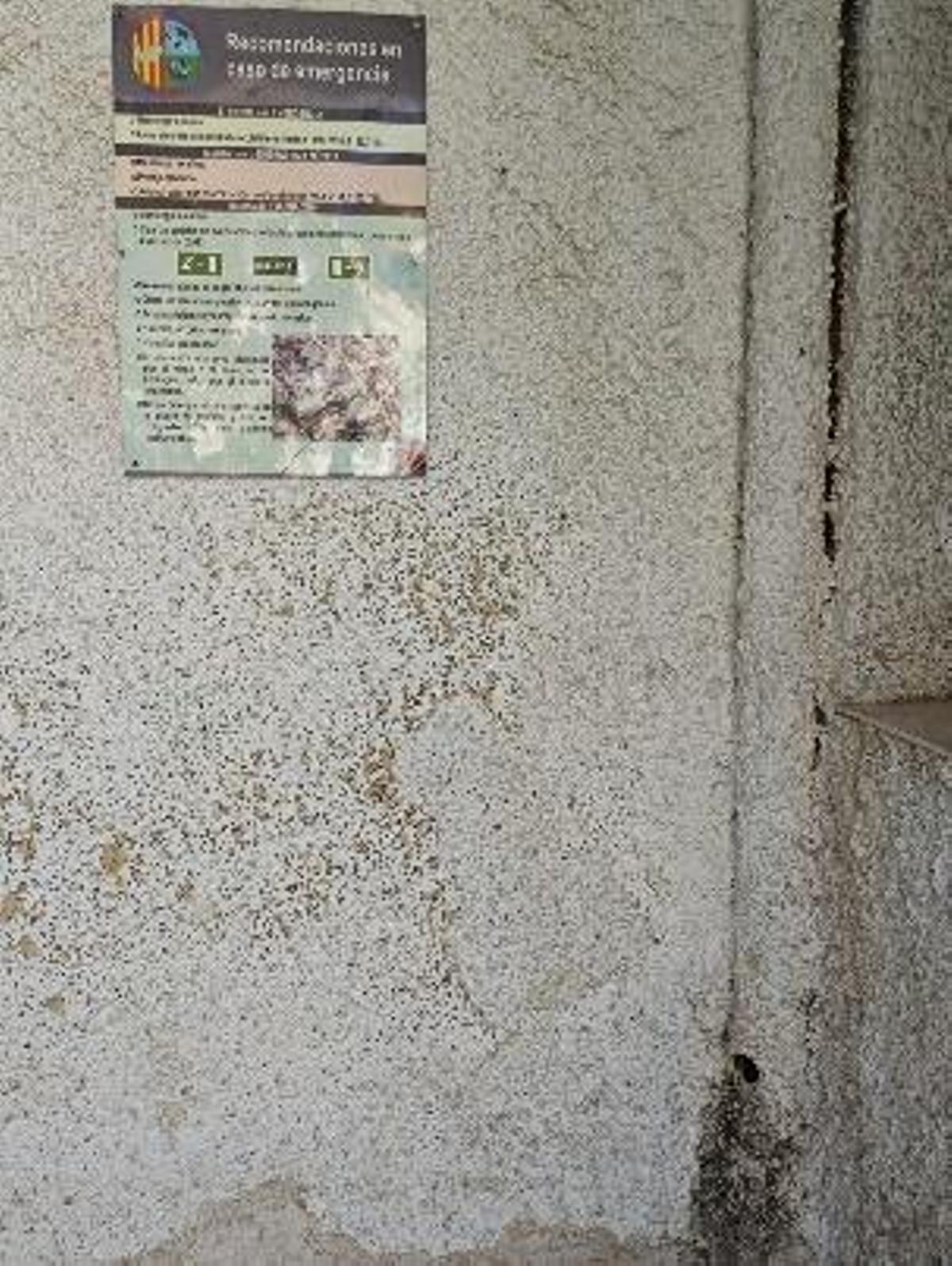 Así están el colegio Virgen de la Puerta y el CEE Antonio Sequeros de Orihuela