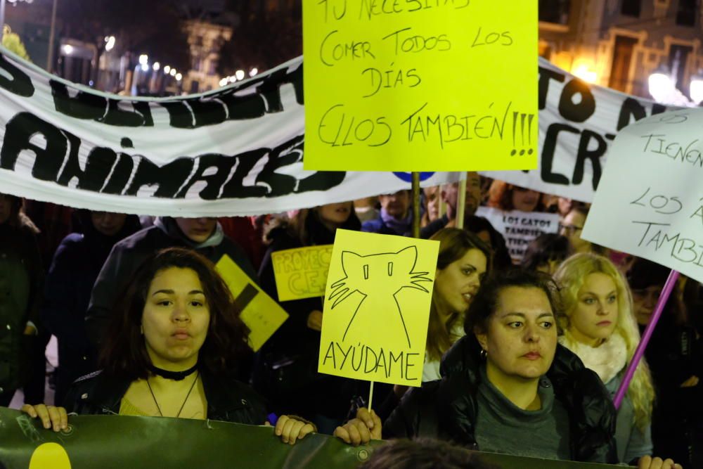 Manifestación de "Gatitos en apuros" en Elda