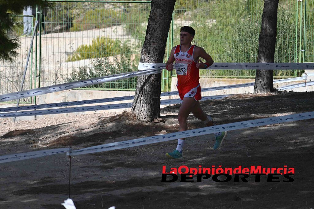 Cross Fiestas de la Virgend de Yecla (IV)