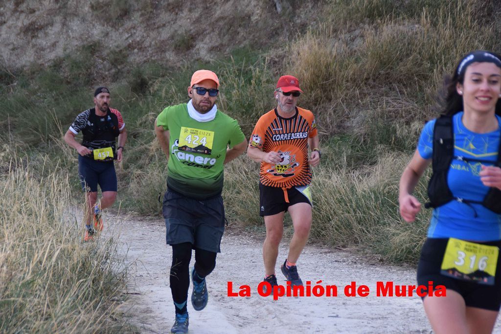 Trail Puentes de Cieza 2022