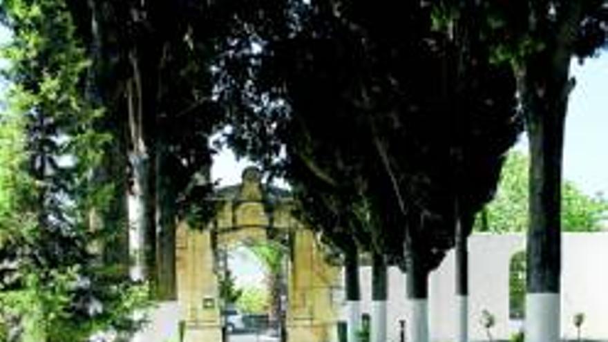 El Ayuntamiento mejora los cementerios municipales