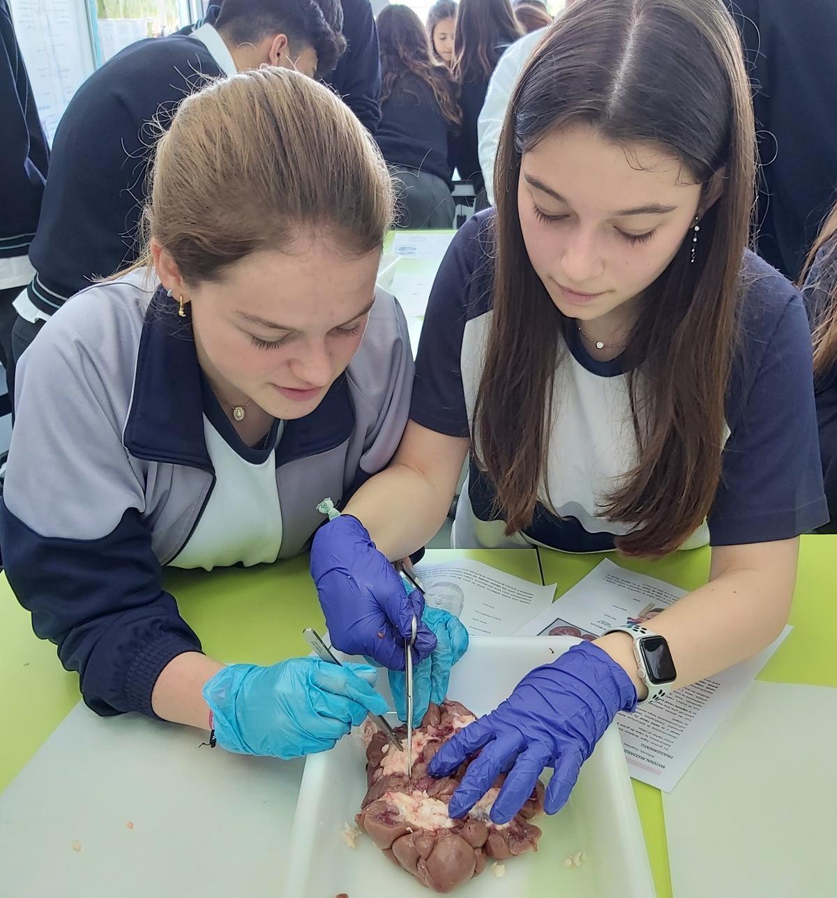 Alumnas durante un taller.