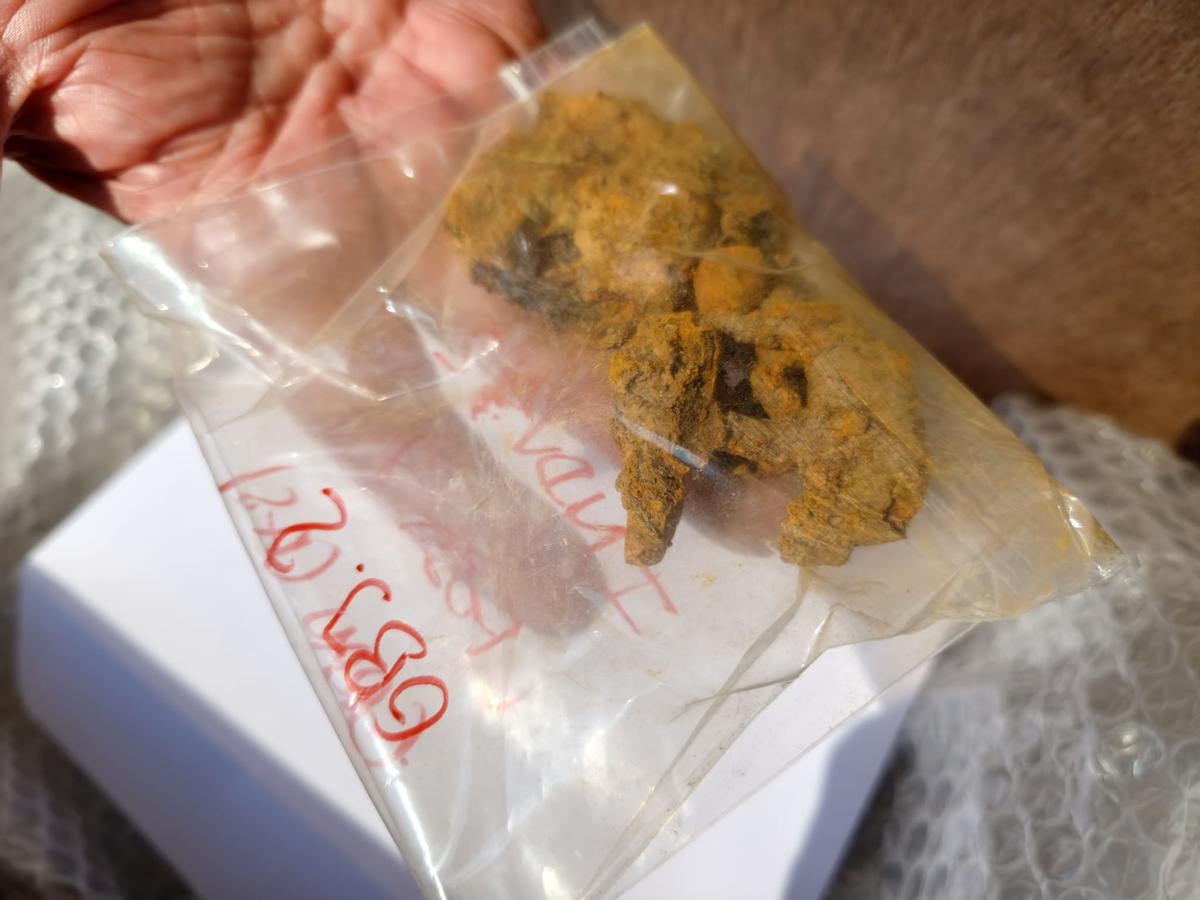 La hebilla del cinturón de José Arias Valdés, incluida con los restos mortales.